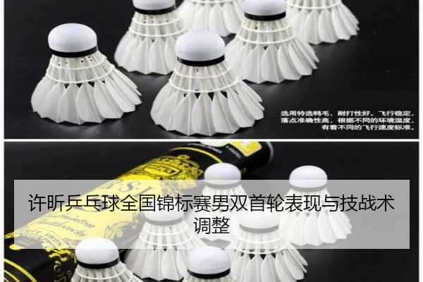 许昕乒乓球全国锦标赛男双首轮表现与技战术调整